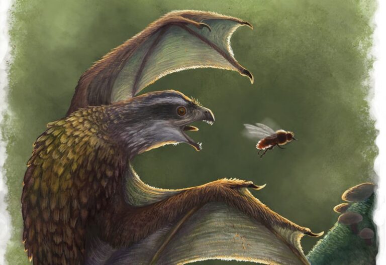 Estos pequeños dinosaurios con alas como murcielago realmente no volaban tan bien