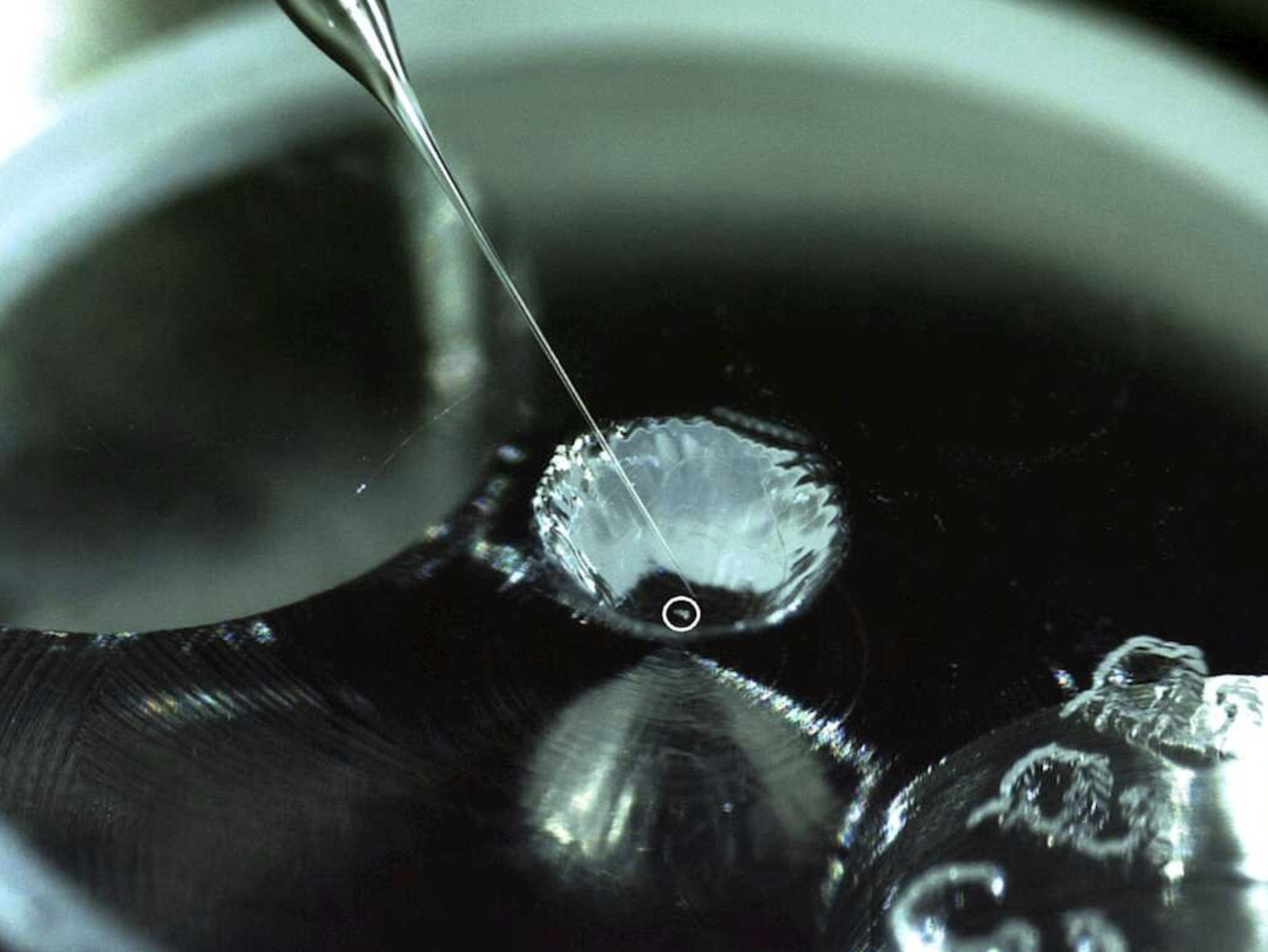 Encuentran material orgánico esencial para la vida en la superficie de un asteroide, por primera vez