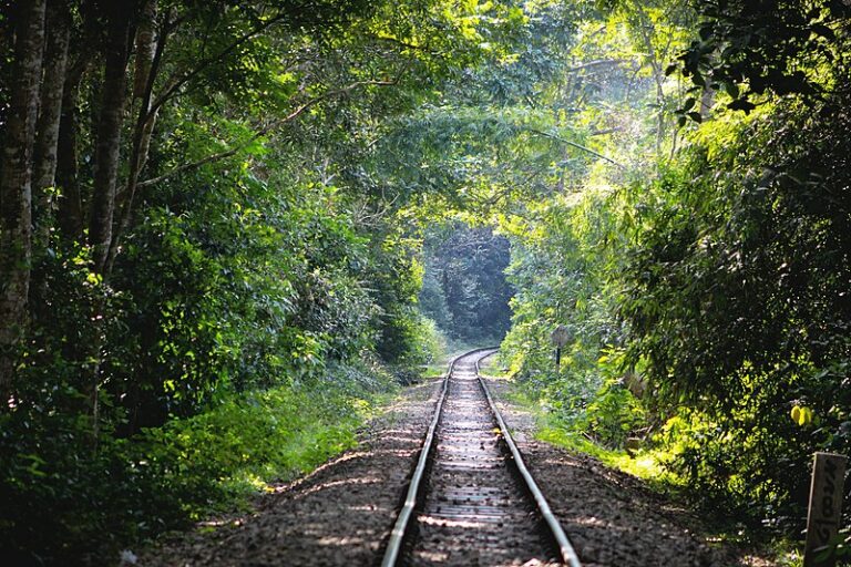 Estamos utilizando el 173% de la “biocapacidad” del mundo, advierten científicos