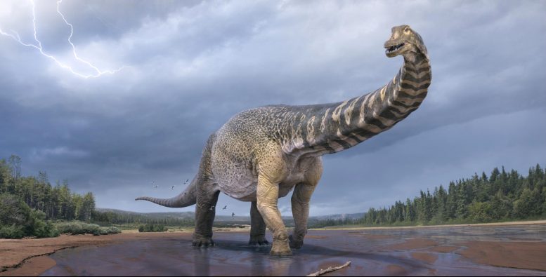 Presentando al «Titán del Sur», el dinosaurio más grande descubierto en Australia