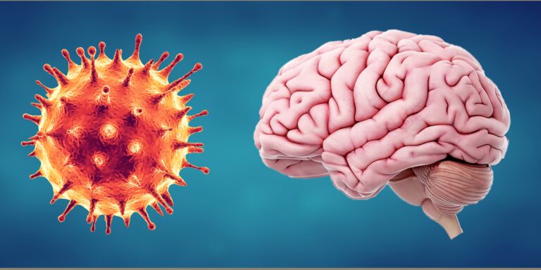Encuentran que la inflamación cerebral causada por COVID-19 es misteriosamente similar a la del Alzheimer