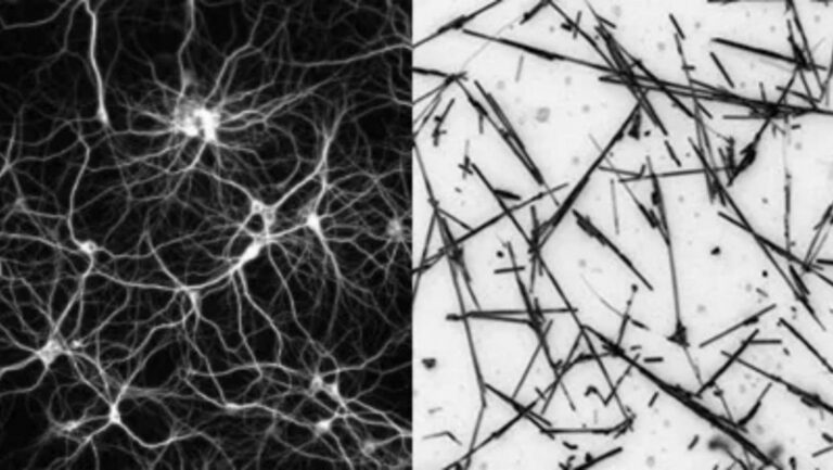 Científicos desarrollan una red artificial mantenida al “borde del caos” que actúa como un cerebro humano