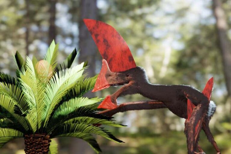 Redada policial en Brasil salva el fósil del pterosaurio más detallado descubierto hasta la fecha