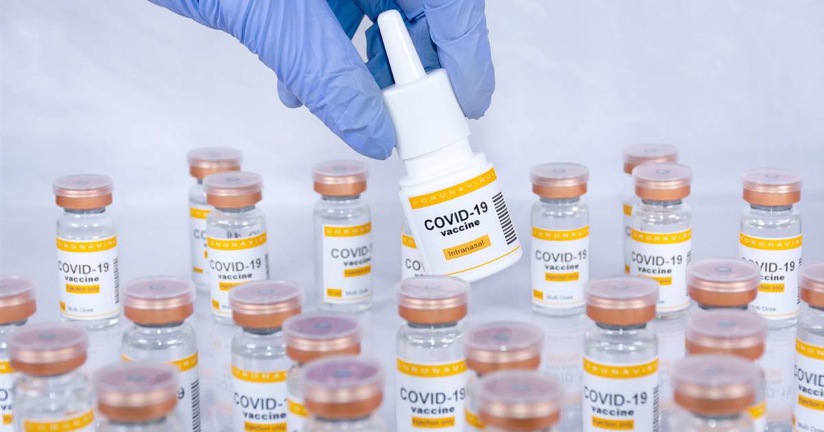 Una vacuna nasal en aerosol puede reducir la severidad del Covid-19 y bloquear la transmisión del virus