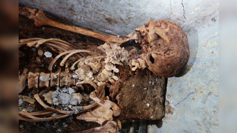 Arqueólogos encuentran inesperada momia increíblemente conservada en el cementerio de Pompeya