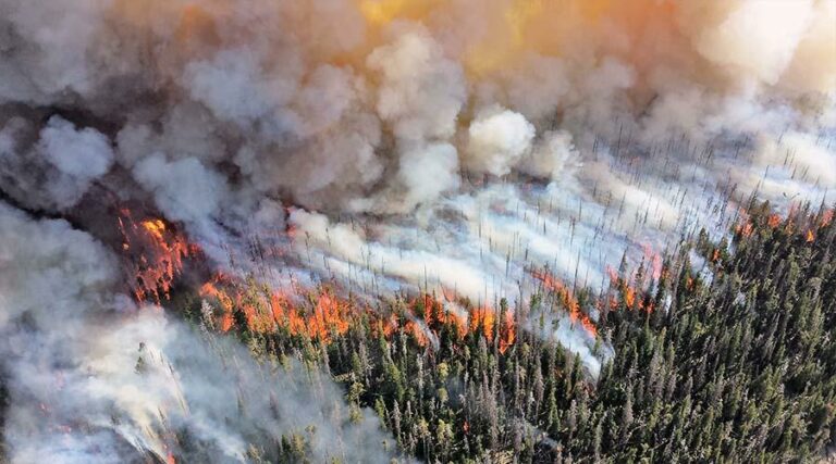 Solo un país está en camino de cumplir sus objetivos climáticos, asegura revelador informe