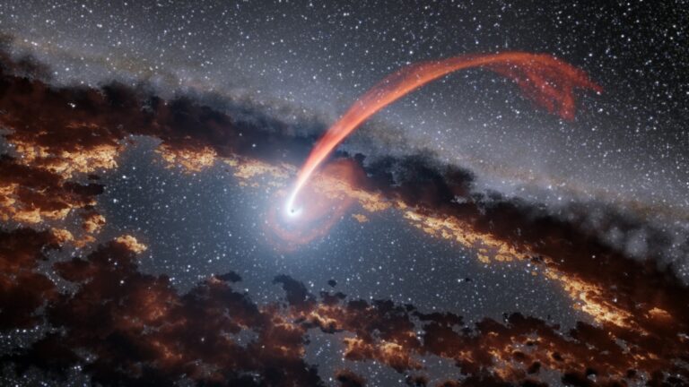 Un elusivo tipo de agujero negro ha sido detectado devorando una estrella