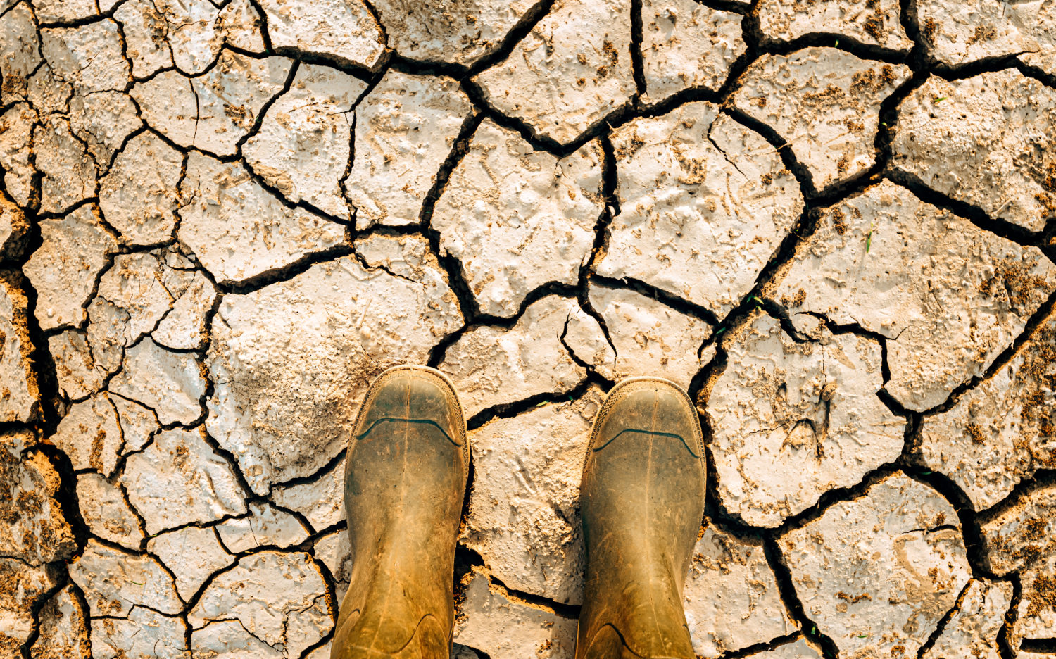 Se cierra el debate: el 99.9% de investigaciones confirma el papel del hombre en el cambio climático