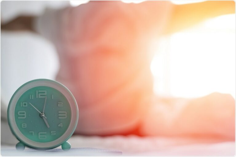 Descubren un mecanismo celular que ayuda al corazón a sincronizarse con los cambios ambientales