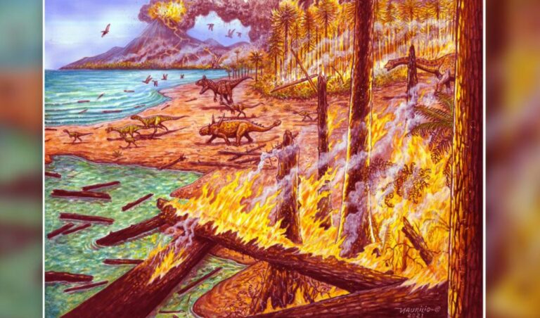Incendios forestales quemaron la Antártida hace 75 millones de años, revela estudio