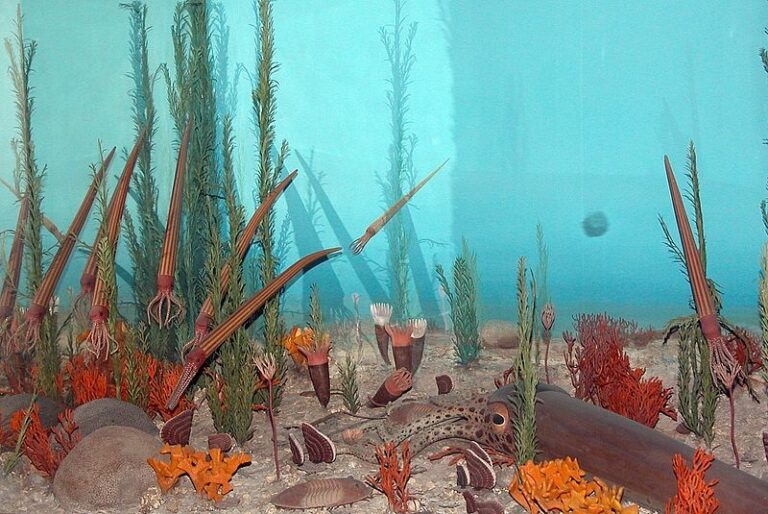 La gran explosión de biodiversidad en la época de los trilobites no fue provocada por lo que creíamos inicialmente