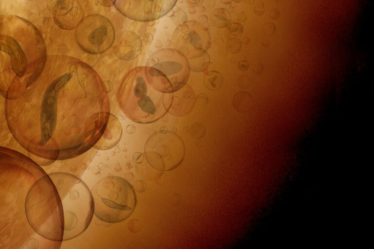 Las formas de vida que neutralizan el ácido podrían sobrevivir en las nubes de Venus, sugiere nuevo estudio