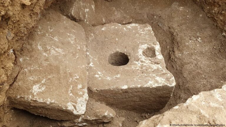 Inodoro antiguo revela que la antigua élite de Jerusalén sufría de parásitos intestinales