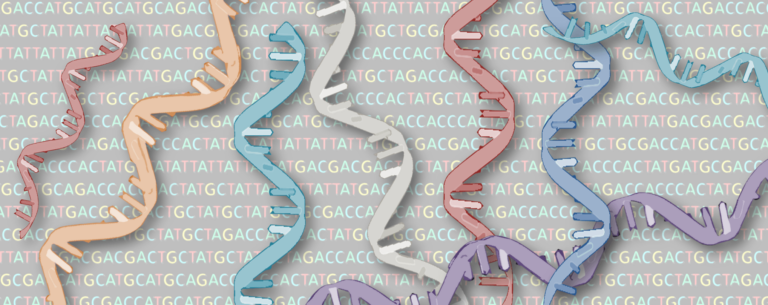 Científicos desarrollan una herramienta para controlar los procesos de transcripción del ADN