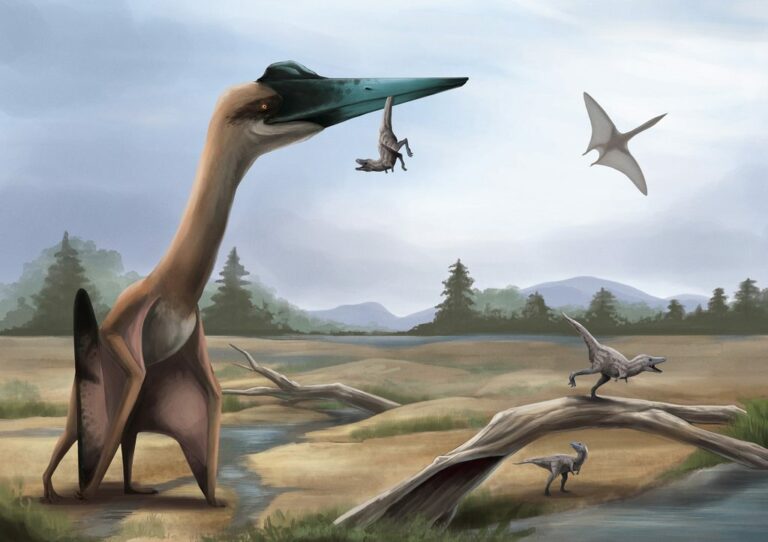 Científicos revelan que el animal volador más grande conocido tenía algo muy extraño