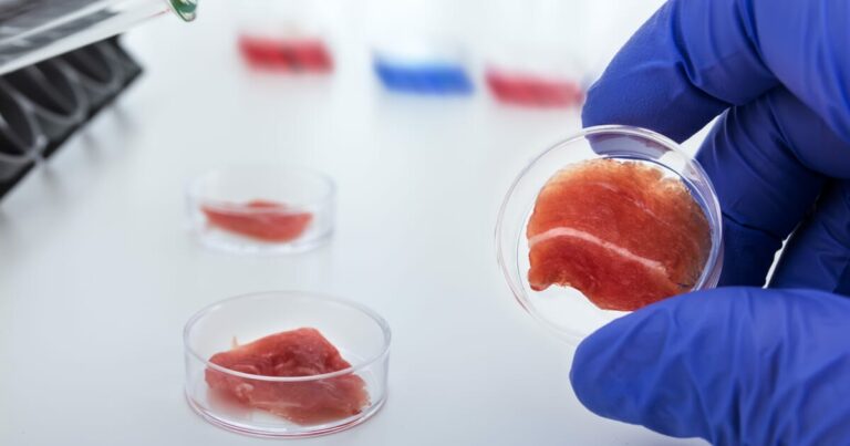 ¿Por qué a mucha gente le disgusta la idea de consumir carne cultivada?