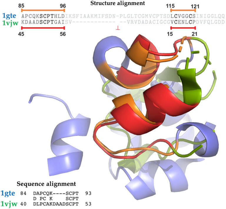 Investigadores identifican estructuras proteicas responsables del origen de la vida