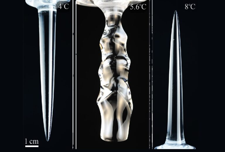 Científicos descubren cómo la forma del hielo derretido depende de la temperatura del agua [VIDEO]