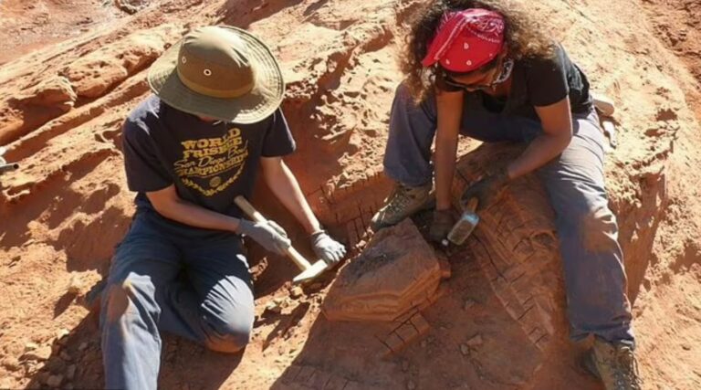 Identifican nueva especie de dinosaurio argentino de brazos diminutos