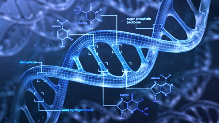 Las bacterias llevan varios años engañando a los científicos y un nuevo estudio lo prueba