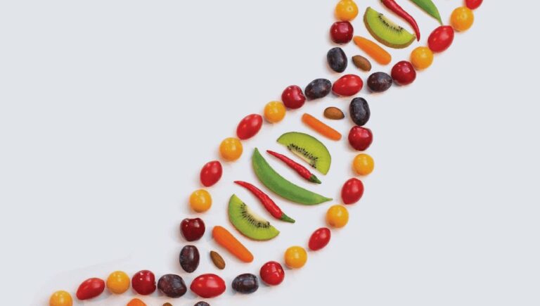 Nutrigenómica: el efecto de los alimentos sobre el genoma