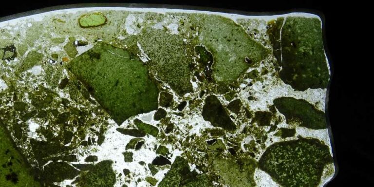 La explosión del Cámbrico tuvo un impacto en la geología de la Tierra