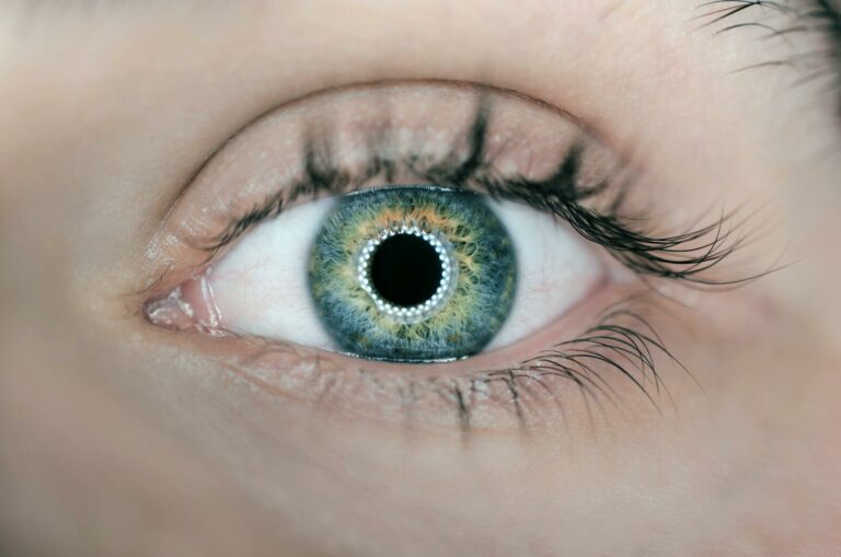 Científicos revivieron células humanas de la retina horas después de la muerte