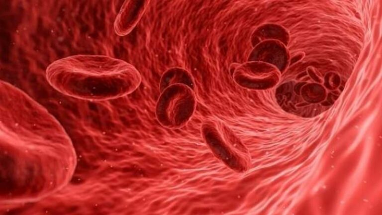 Científicos hallan la manera de proporcionar oxígeno al cuerpo sin la necesidad de un ventilador mecánico
