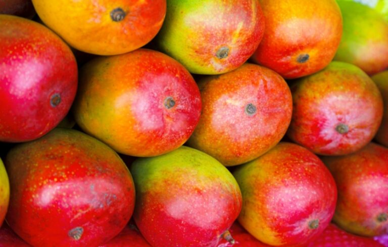 Los alimentos que llegan a tu mesa contaminan mucho más de lo que crees