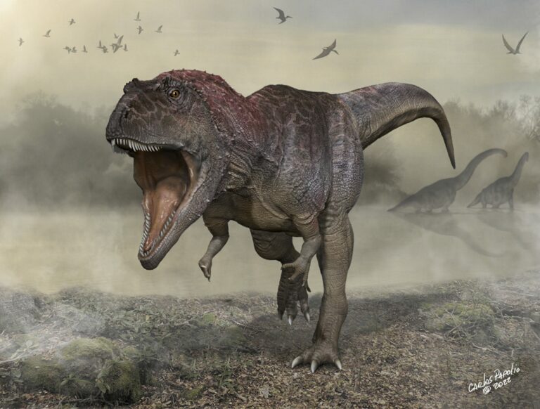 Descubierto nuevo dinosaurio gigante con brazos pequeños como el T. rex
