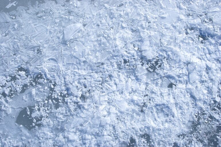 Científicos logran revivir «virus zombies» congelados por 50 mil años en Siberia