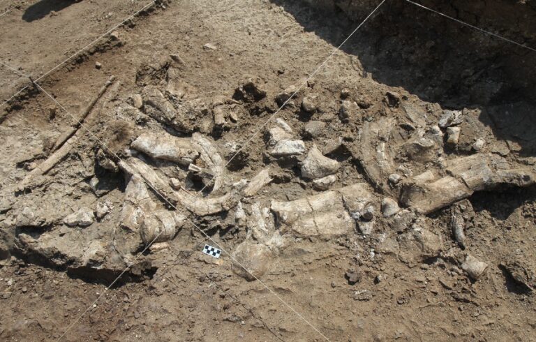 Las herramientas de piedra más antiguas no fueron hechas por manos humanas, sugiere estudio