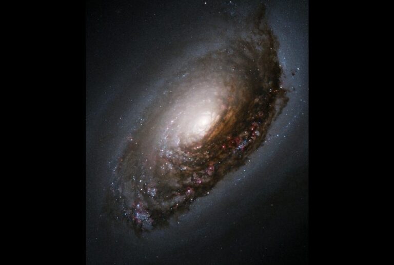 Descubierto canibalismo galáctico en la misteriosa Galaxia del Ojo Negro