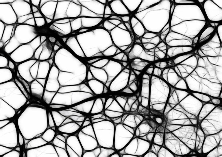 Científicos detectan actividad cerebral en dos pacientes tras ser retirados del soporte vital