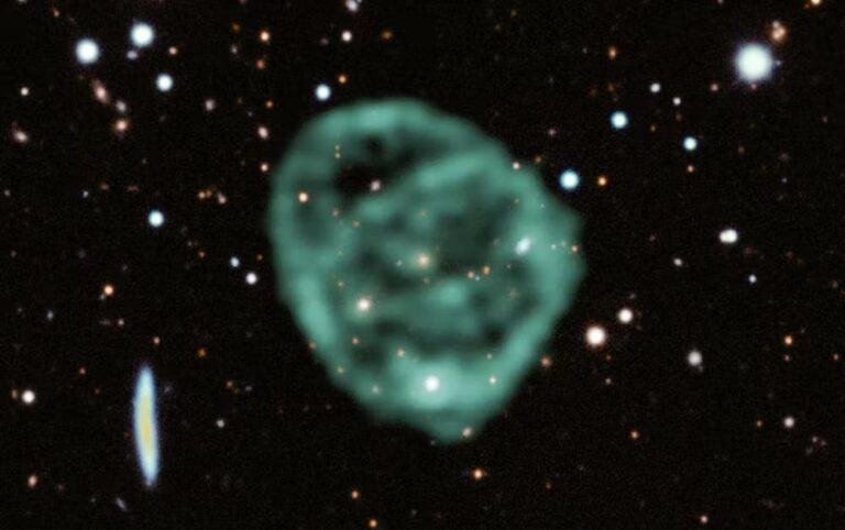 Estos círculos de ondas de radio (ORCs) son tan masivos que pueden contener galaxias