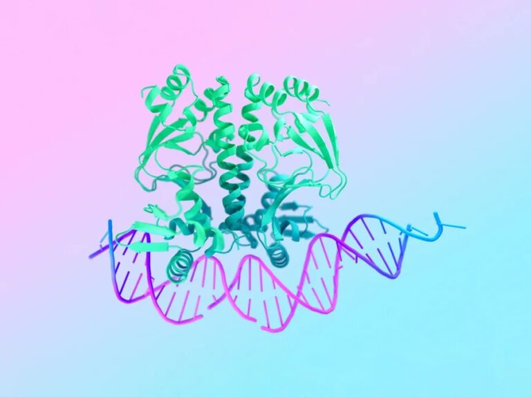 Deepmind desarrolla AlphaFold 3 una IA que puede modelar ADN y ARN