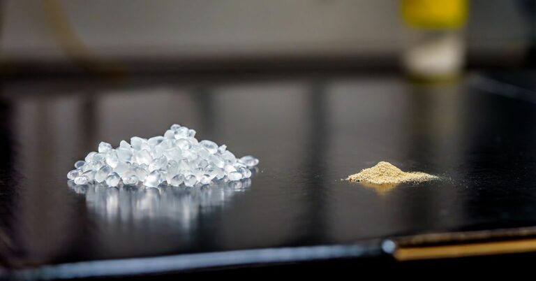 Científicos desarrollan nuevo tipo de plástico biodegradable con esporas bacterianas