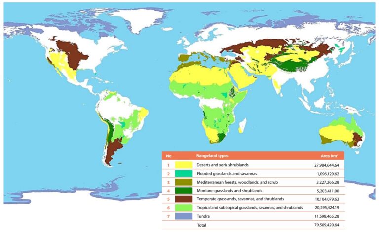 Informe de la ONU revela alarmante degradación de los pastizales del planeta
