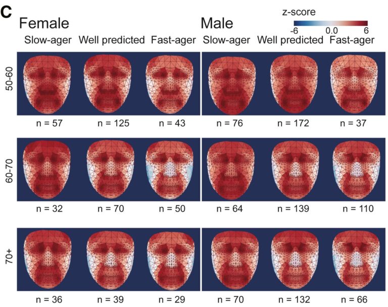 Pronto se podrá utilizar la temperatura facial para el diagnóstico de enfermedades