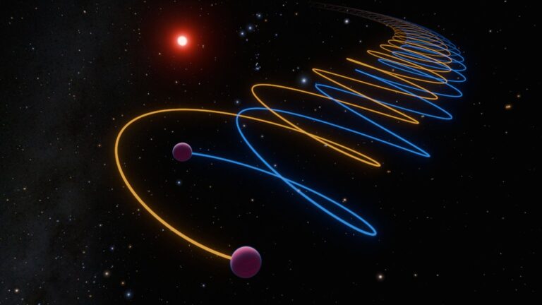 Misterio resuelto: Gliese 229 B es en realidad un sistema binario de enanas marrones