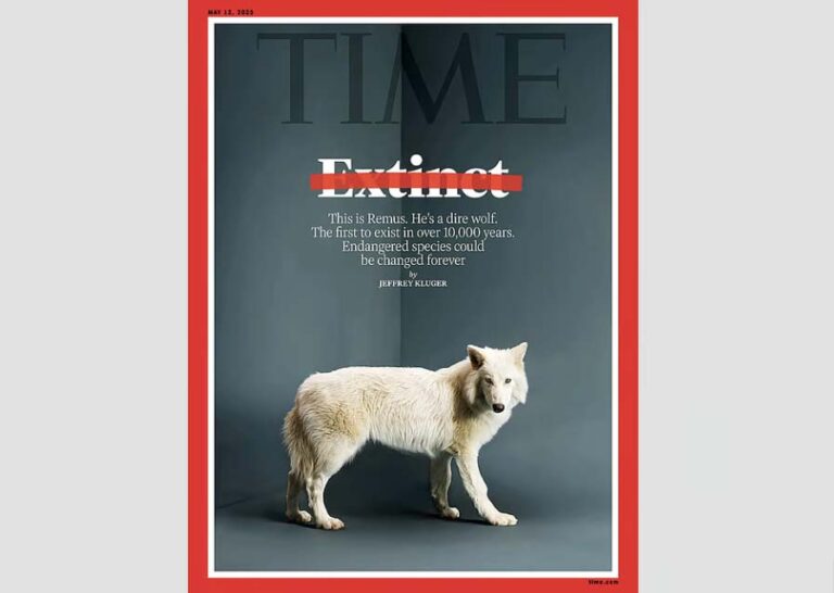 La verdad sobre los lobos extintos que han sido «resucitados»