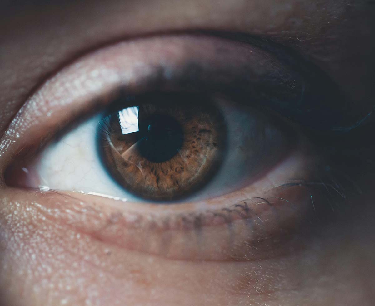 Un fármaco experimental probado en ratones repara el ojo y restaura la visión