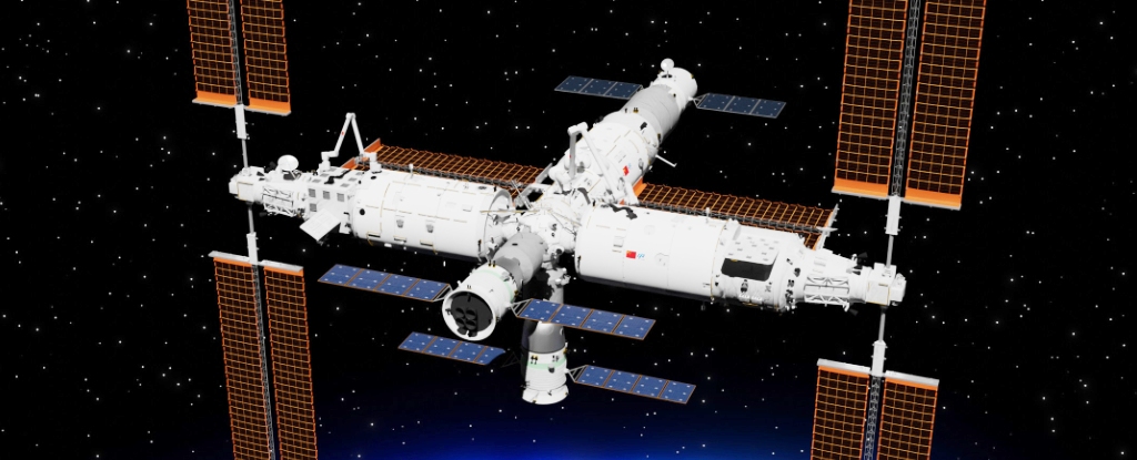 Descubren una especie desconocida de bacteria en la estación espacial china