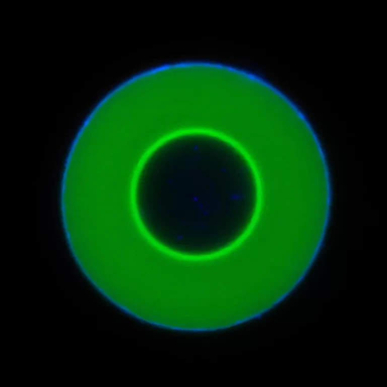 Investigadores descubren una nueva e inesperada forma de movimiento molecular