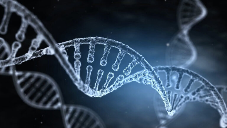 Científicos identifican una regla oculta que configura toda la vida en la Tierra