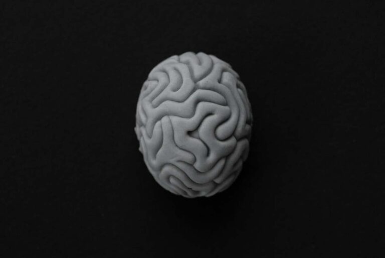 Las arrugas del cerebro son mucho más importantes de lo que creíamos