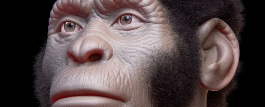 ¿Enterraba esta especie a sus muertos 120 000 años antes que nosotros? Nuevas afirmaciones reavivan el debate.