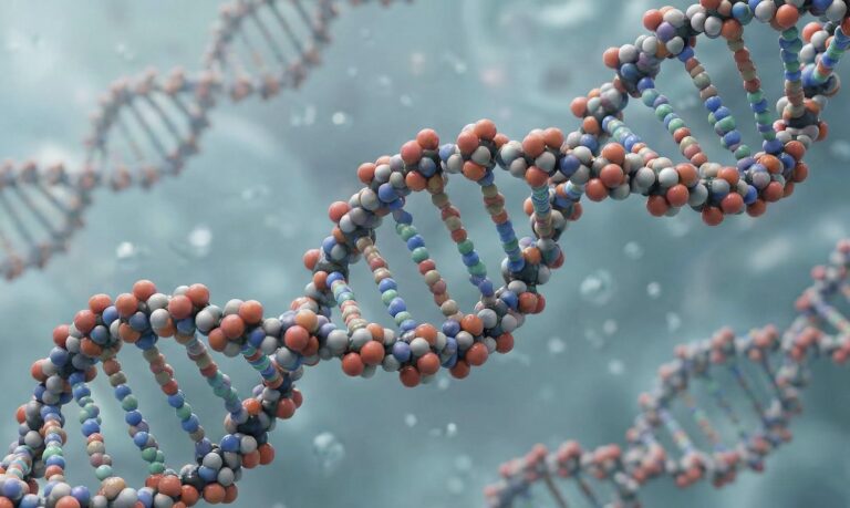 Detectan los puntos del ADN donde nacen más mutaciones