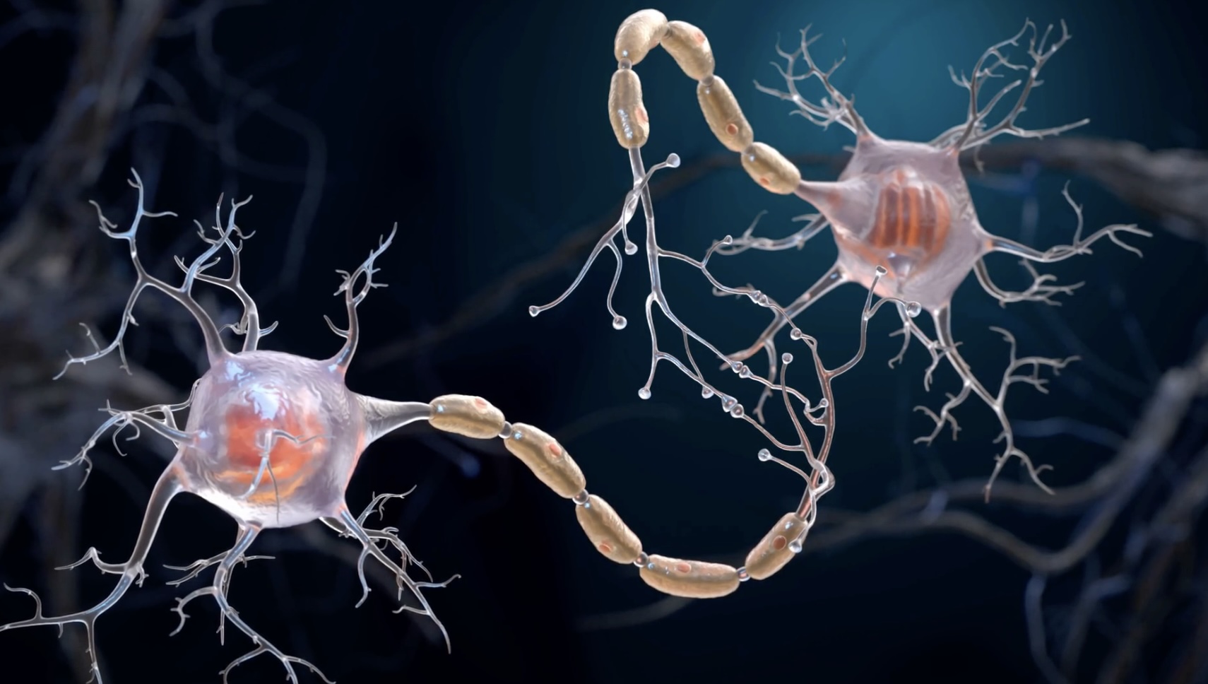 Científicos logran identificar las neuronas que provocan ansiedad y cómo calmarlas