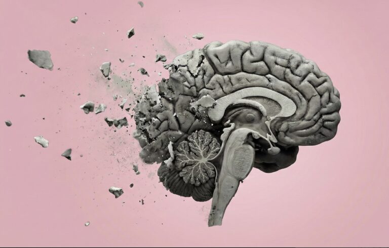 Un simple aumento de proteína revive células cerebrales desgastadas por la edad en ratones